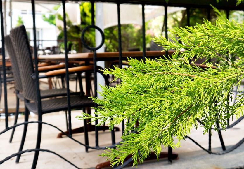 Capre Mare Beach Resort Didim Ngoại thất bức ảnh